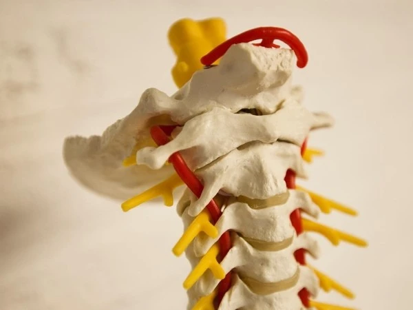 Nekwervels worden los gemaakt tijdens een behandeling atlasreflextherapie.